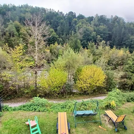 Im Salzkammergut *