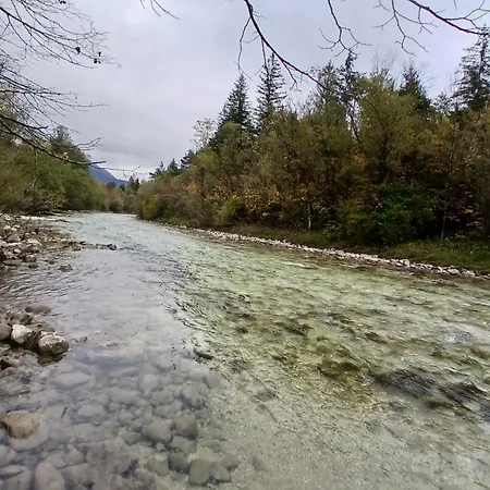 Séjour chez l'habitant Im Salzkammergut *